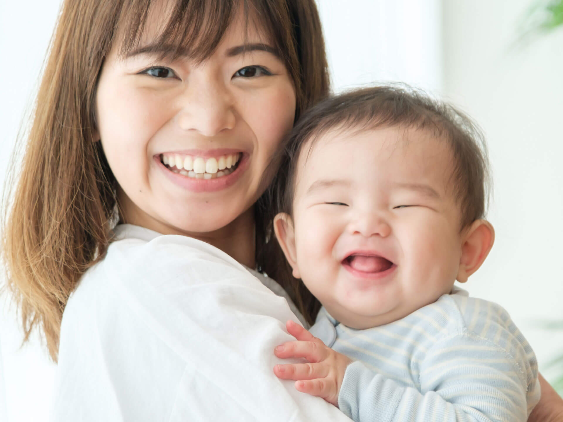 一匹残らず完全駆除