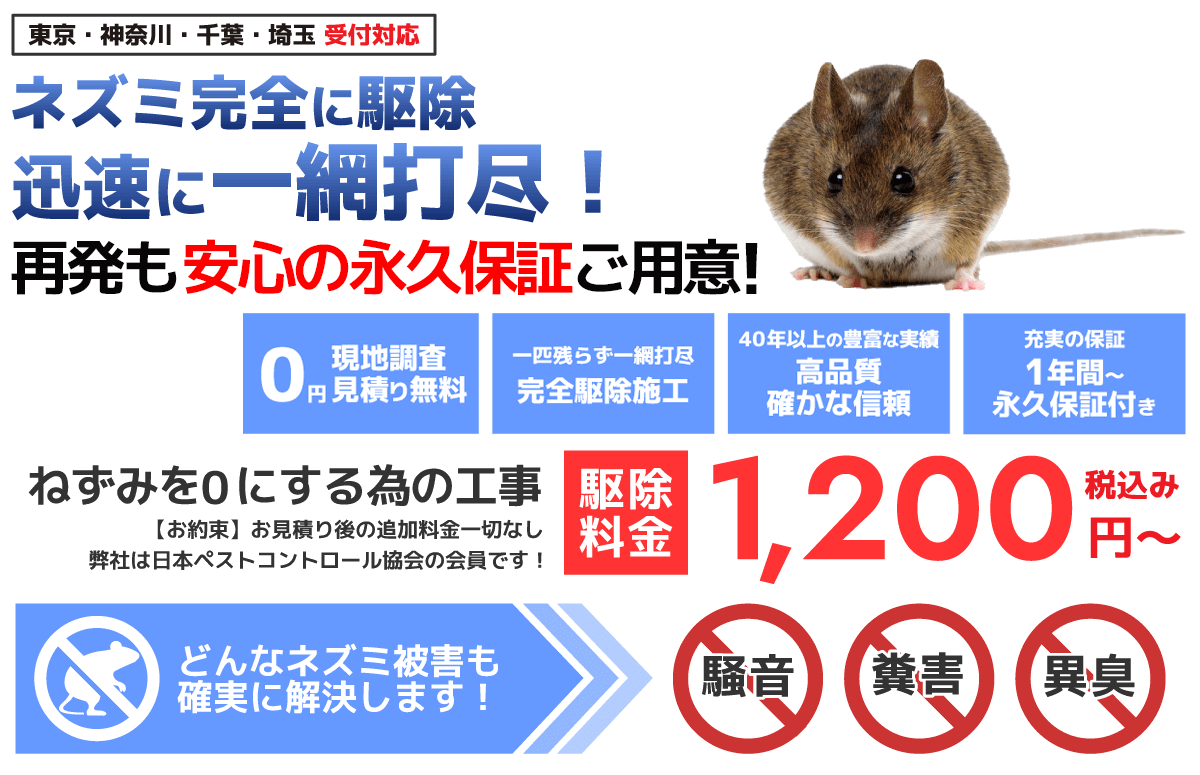 ネズミ駆除から再発予防施工まで!ネズミを退治するなら永久保証付きの「有限会社ミヤザキ」