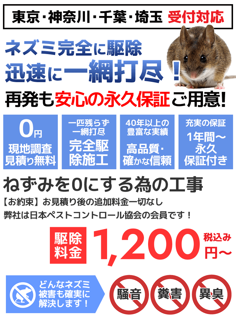 ネズミ駆除から再発予防施工まで!ネズミを退治するなら永久保証付きの「有限会社ミヤザキ」